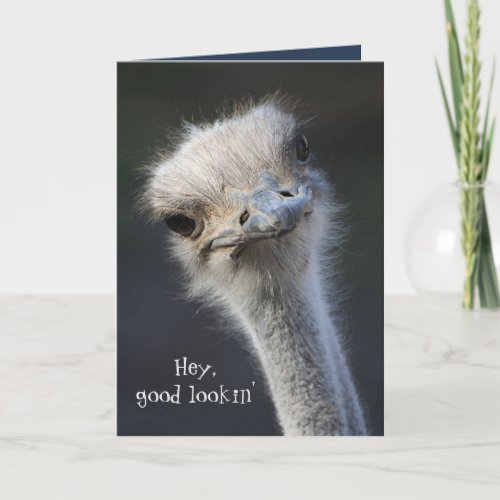 Hey good lookin all occasion thank you card