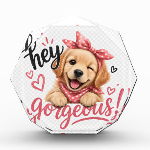 Hey Gorgeous Cute Dog Design Acrylic Award