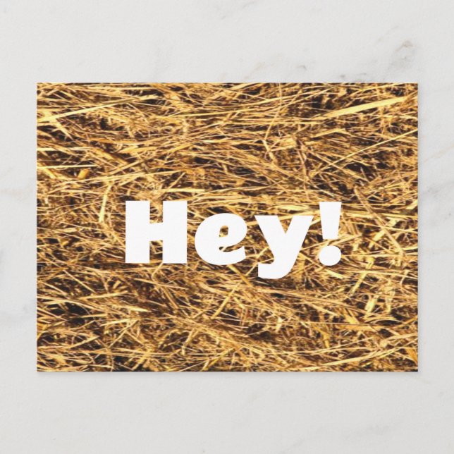 Hey! Hay Postcard (Front)