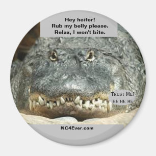 Hey heifer! Rub my belly please. fun gator magnet