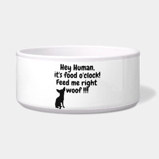 Hey, Hooman! Its food o'clock! Funny dog bowl