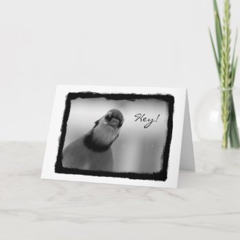 Hey  I Miss You! Card by DovetailDesigns at Zazzle