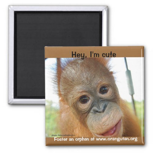 Hey Im a Cute Primate Magnet