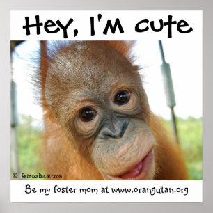 Hey, I'm Cute Baby Orangutan Poster