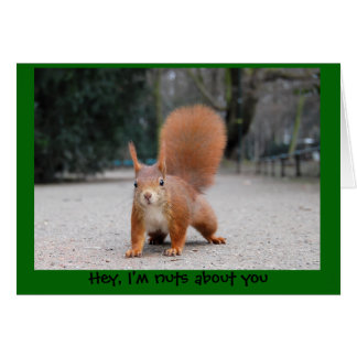 Hey, I'm nuts about you Cards