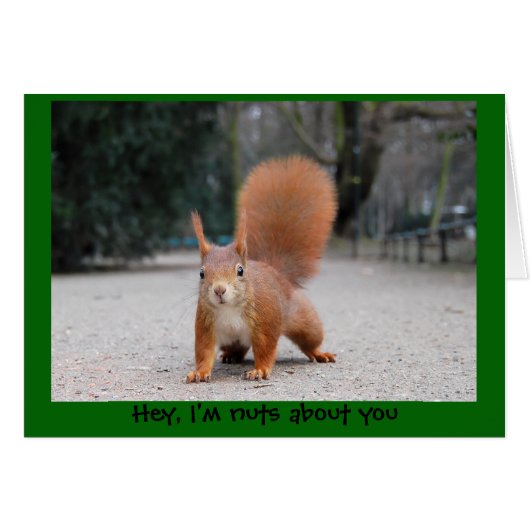 Hey, I'm nuts about you Cards (Front Horizontal)