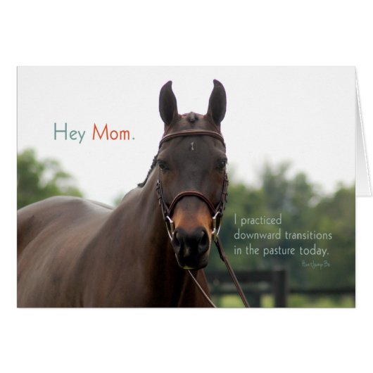 Hey Mom. (Prinz) Cards (Front Horizontal)