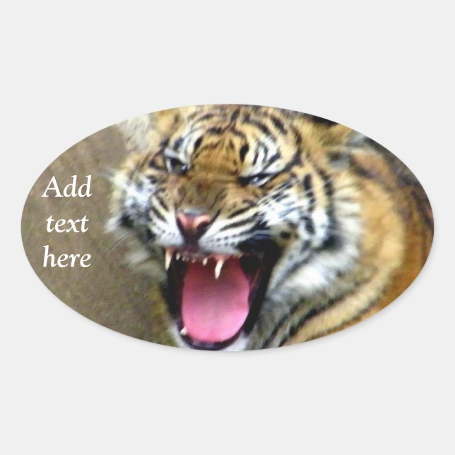 Hey_ Oval Sticker (Front)