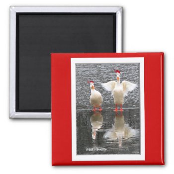 Hey  Season's Greetings! Magnet by toots1 at Zazzle