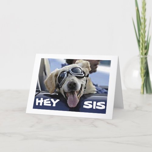 HEY SIS HAVE A COOL BIRTHDAY FROM COOL DOG CARD
