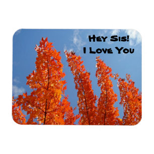 Hey Sis! I Love You flexible magnets Autumn Trees