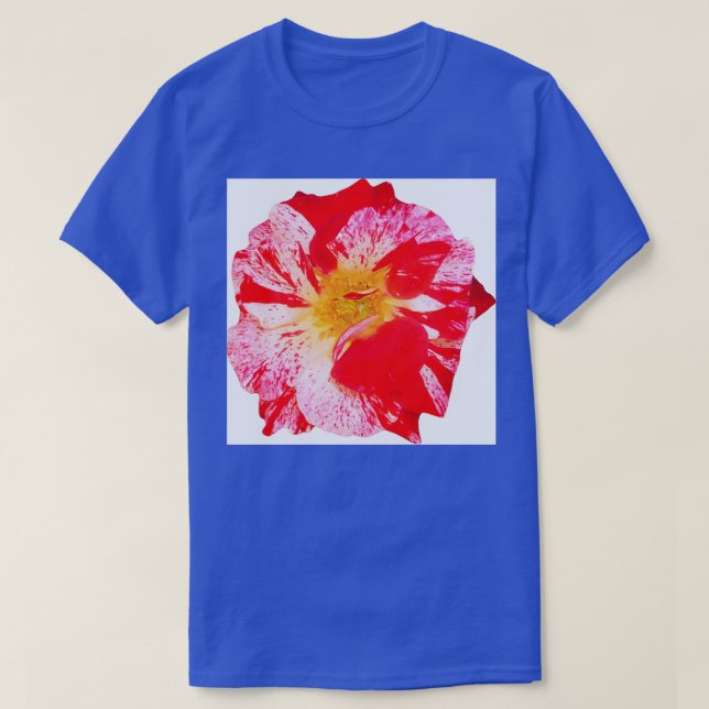 Hey Soul Sister T-Shirt (Design Front)