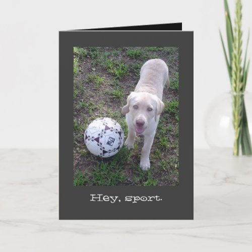 Hey Sport Yellow Lab Puppy All Occasion Card