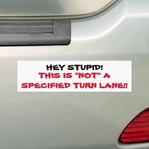 HEY STUPID BUMPER STICKER FOR HONKERS