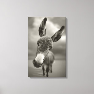 Hey There Canvas Print