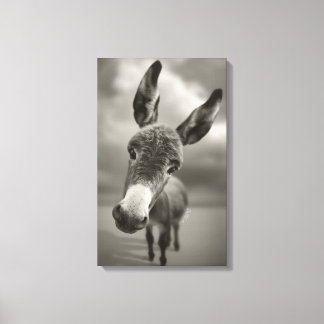 Hey There Canvas Print