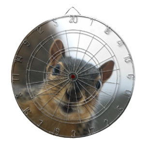 Hey there dart board