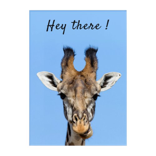 Hey there funny Giraffe photo with text Acrylic Print