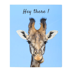 Hey there funny Giraffe photo with text Metal Print