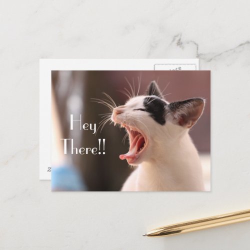 Hey There Impatient Cat Greeting Postcard