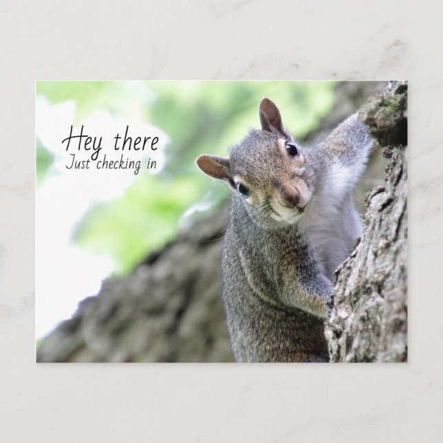 Hey There, Just Checking In Postcard  (Front)