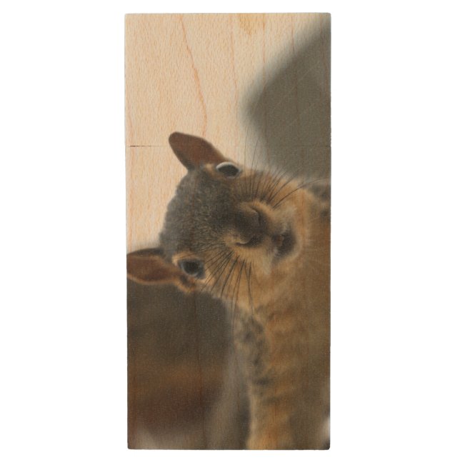 Hey there OtterBox iPhone case Wood Flash Drive (Front Vertical)