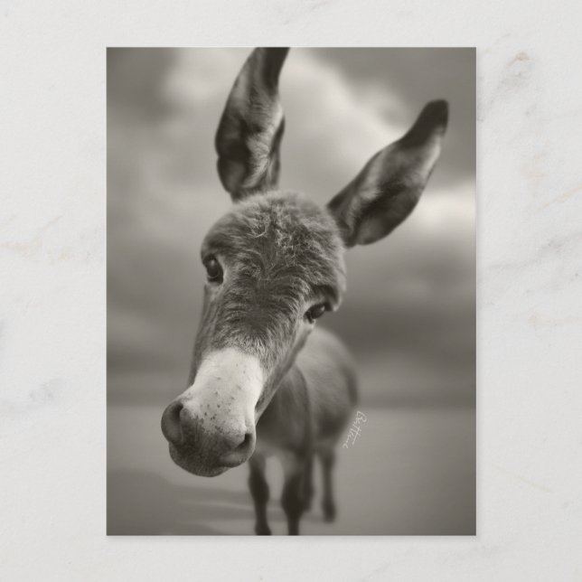 Hey There Postcard (Front)