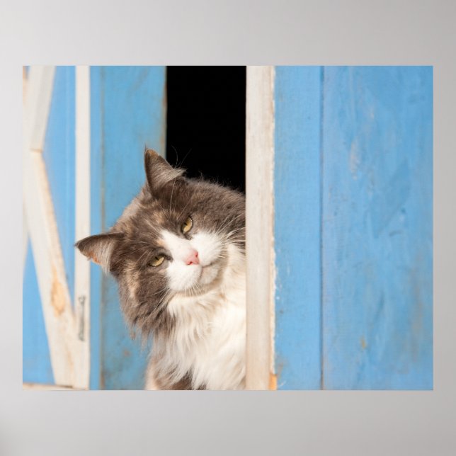 Hey There! Poster (Front)