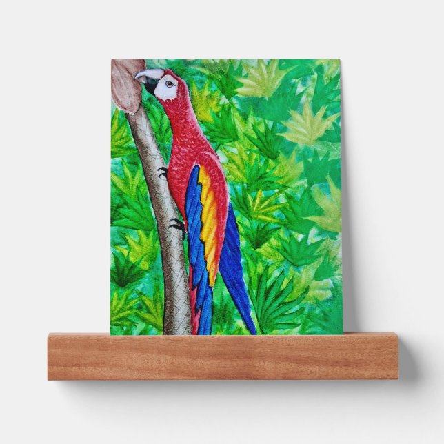 Hey, There’s a Scarlet Macaw in That Tree!  Picture Ledge (Front)