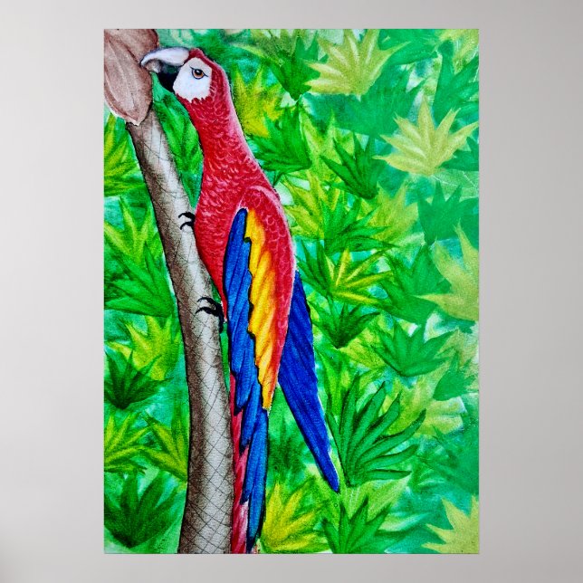 Hey, There’s a Scarlet Macaw in That Tree!  Poster (Front)