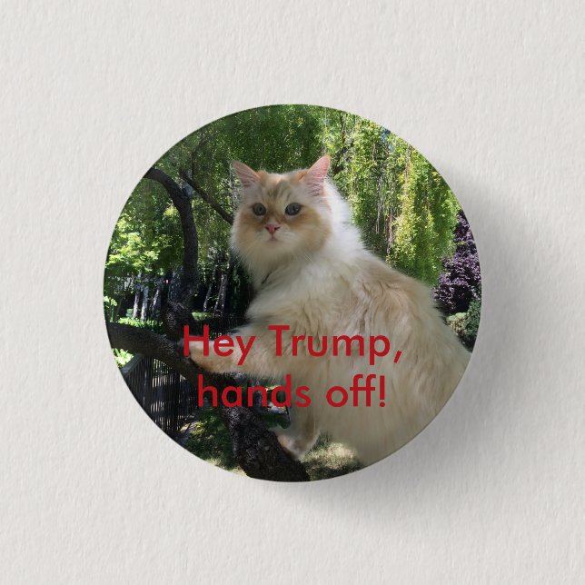 Hey Trump, hands off! Pinback Button (Front)