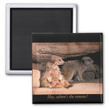Hey  Where's The Remote! Magnet by toots1 at Zazzle