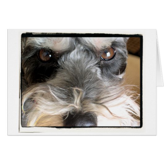 Hey You!  I Order You To Come To My Party! (Front Horizontal)