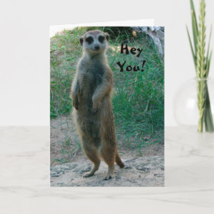 Cute Meerkat Blushing Birthday Card A5 Personalised with own words 