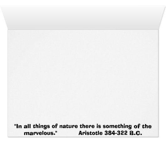 HFTH-011205-MFM-07 (Inside Horizontal (Bottom))