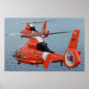 HH-65 Dolphin Poster