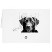 Hi (Back Horizontal)