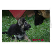 Hi DAD (Front Horizontal)