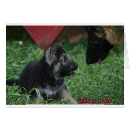 Hi DAD (Front Horizontal)