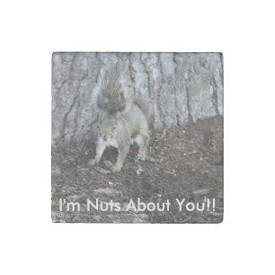Hi def photography of a Squirrel, Good Sentiments Stone Magnet