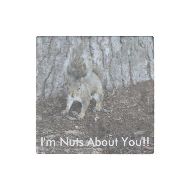 Hi def photography of a Squirrel, Good Sentiments Stone Magnet (Front)