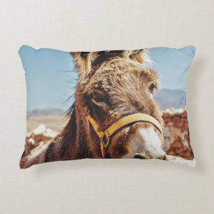 HI DONKEY ACCENT PILLOW