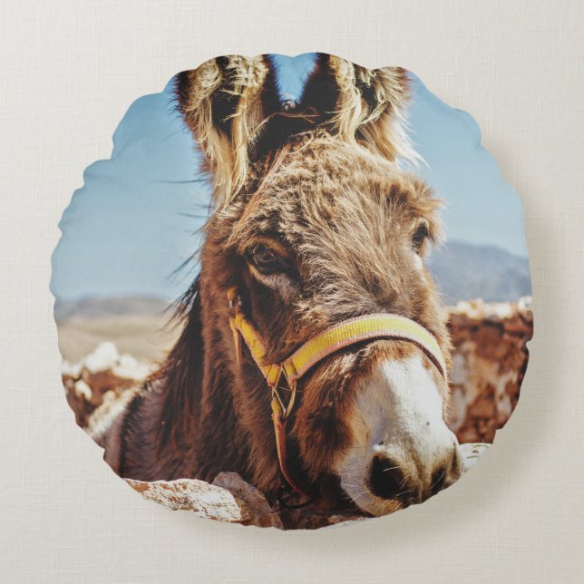 HI DONKEY ROUND PILLOW (Front)