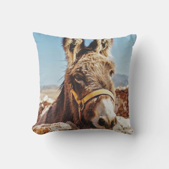 HI DONKEY THROW PILLOW (Front)