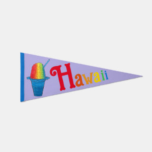 HI Hawaii Hawaiian Shave Shaved Ice Rainbow Pennant Flag
