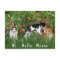 Hi Hello Meow / Cats in the Garden Cute Animal