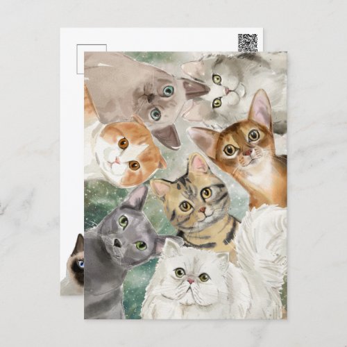Hi Hello  Meow YOU Doin  Cute Crazy Cats Postcard