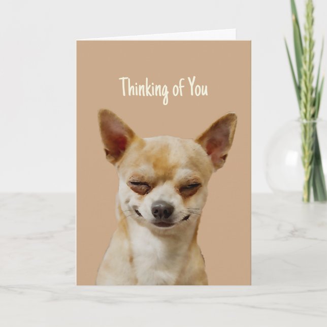 Hi Hello Thinking of You Funny Laughing Chihuahua  Card (Front)
