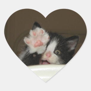Hi kitten heart shaped stickers
