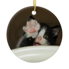 "Hi" Kitten Ornament